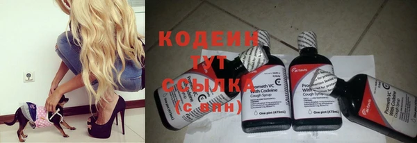 спиды Осинники