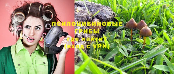 мяу мяу мука Абинск