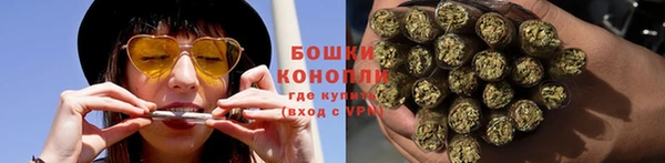 ГАЛЛЮЦИНОГЕННЫЕ ГРИБЫ Абаза