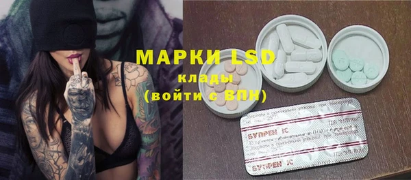 ГАЛЛЮЦИНОГЕННЫЕ ГРИБЫ Абаза
