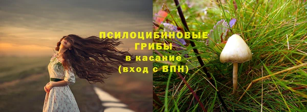 ГАЛЛЮЦИНОГЕННЫЕ ГРИБЫ Абаза