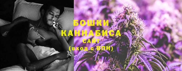 ГАЛЛЮЦИНОГЕННЫЕ ГРИБЫ Абаза