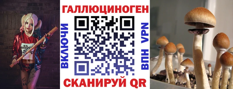 как найти   дарк нет какой сайт  Псилоцибиновые грибы ЛСД  Торопец 